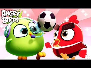Angry Birds | SPORTS Day! ⚽️🏀