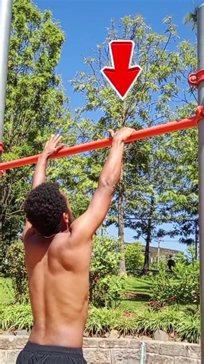 different pullup variations