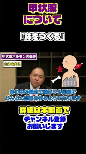 甲状腺の機能 切り抜き⑤からだを作る #健康 #自然療法 #東洋医学 #甲状腺 #甲状腺ホルモン #Shorts