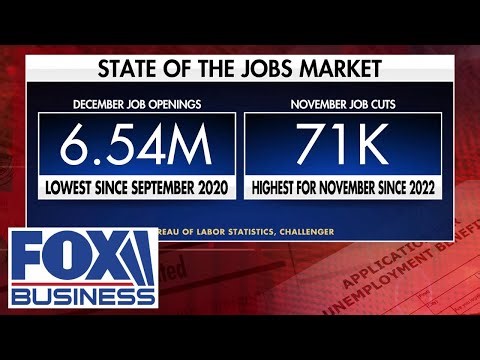 It's a gross overreaction that AI will eliminate all software, expert says