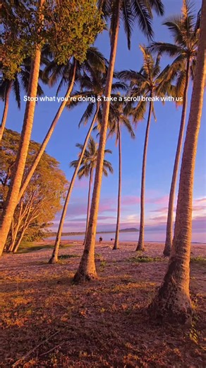 Queensland on Instagram: "A little moment of calm in your feed today, brought to you by this beautiful sunrise at Four Mile Beach. 🌴🌅 It’s the kind of place that invites you to slow down, breathe and become your best holiday self. 📍Four Mile Beach - @portdouglasdaintree | @tropicalnorthqueensland 🎥 @amys.camera.lens #QueenslandHolidayFeeling #ThisIsQueensland #SeeAustralia #ExploreTNQ"