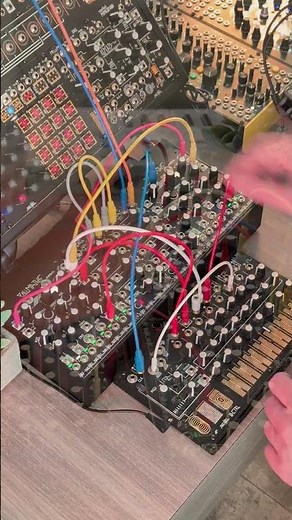 Make Noise Polimaths + QXG Double Entanglement