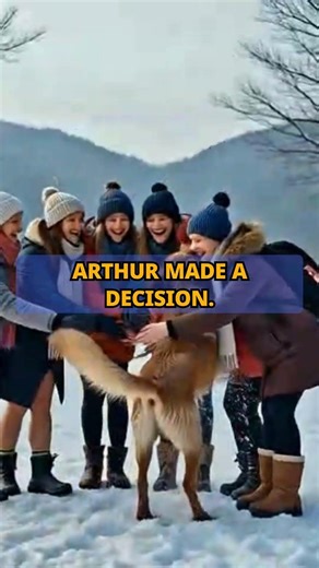 Arthur the King: The Dog Who Crossed the Jungle to Find a Home 🐕🌍 (True Story)
