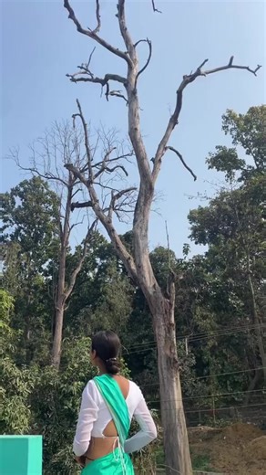 Nagin Wala Dance: Discover the Latest Moves