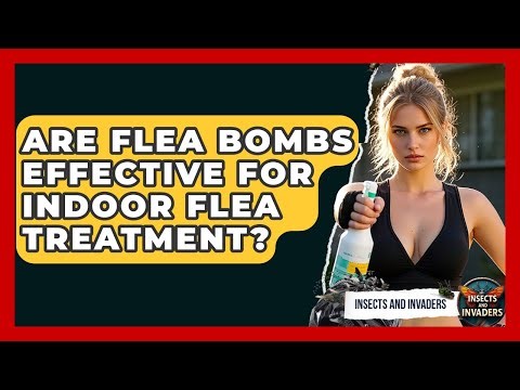 Are Flea Bombs Effective For Indoor Flea Treatment? - Insects and Invaders