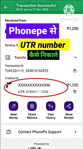 Phonepe se UTR number kaise nikale / phonepe UTR number check / how to check utr number in phonepe