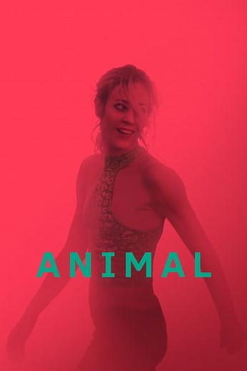 Stream Animal (2024): Find it on Netflix, Prime Video, Hulu & more