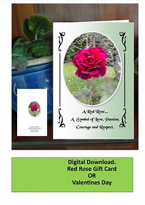 Red Rose Blank Card: Valentine's Day, Birthday (digital Download) - Etsy