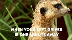 1.4M views | I can feel it in my bones. | Lyft | Facebook