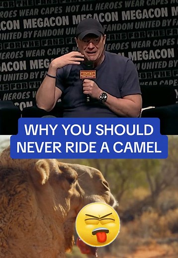 Why You Should Never Ride a Camel — Brendan Fraser BTS