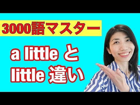 【3000語マスター53】a littleとlittle, a fewとfewの使い方 5例文×10回＝50回音読