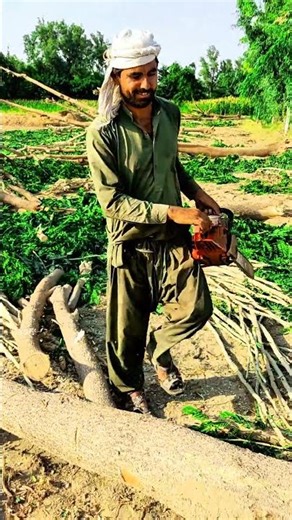 $100 Chinese "COPY STIHL" Chainsaw