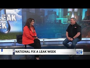 Fix a Leak Week: Common signs to identify a leak in your home
