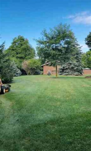 Turf game masterclass Kenny drops lawn care truths