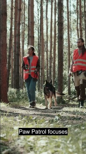 U.S. Kids' Shows Then vs Now: How Children's TV Evolved Over Time