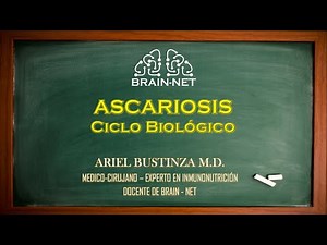 ASCARIOSIS: Ascaris lumbricoides, ciclo biológico, biología, Ascariasis.