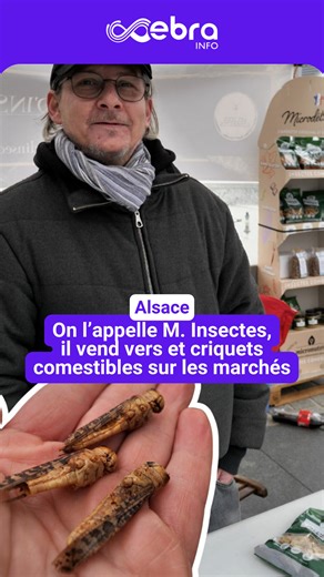 « Vous reprendrez bien un petit ver pour la route ? » Sur le marché de Bantzenheim, en Alsace, les visiteurs peuvent acheter des fruits et légumes, de la viande ou encore du miel, mais aussi parfois... des snacks à base d'insectes. Convaincu que ces aliments d'un nouveau genre, pleins de protéines et au bilan carbone avantageux, gagnent à être connus, Nicolas Jaroslawski s'est lancé dans leur vente, sur internet et les marchés du Haut-Rhin. Et les passants sont souvent convaincus, assure-t-il. D