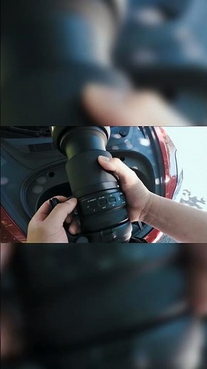 Pro Tip: Autofocus Settings for Birding with Tamron!