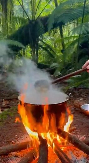 Fire & Steam | Primitive Forest Cooking in the Wild 🔥🌿