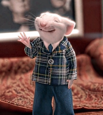 "Sometimes, all I think about is you" | Stuart Little Edit | Heat Waves - (Slowed+Reverb)
