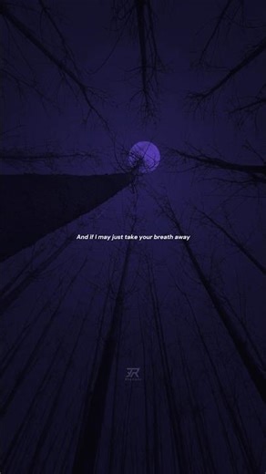 sweater weather - the neighbourhood | lyrics | aesthetic | english song | whatsapp status | audio 💜🖤