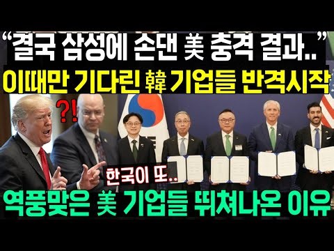 결국 삼성에 손댄 미국의 충격 결과.. 이때만 기다린 한국의 반격 시작되자 미국 기업들 뛰쳐나온 이유