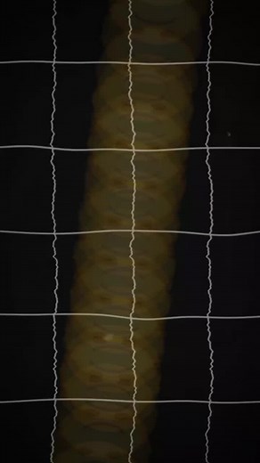 тгк: morencedesign on TikTok