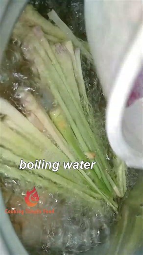 how to boil Squid