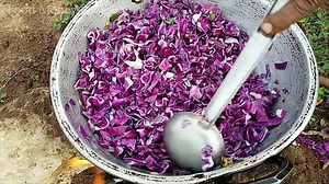 Simple Cabbage Recipe Food Money Food | Village Food Factory
