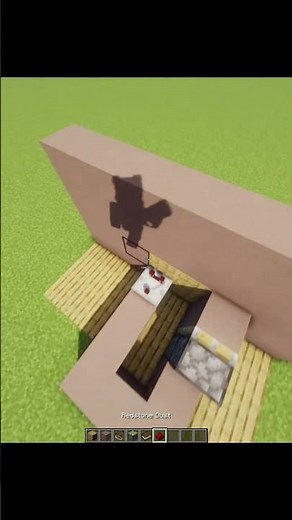 You Won’t Believe This Secret Door in Minecraft!🤯