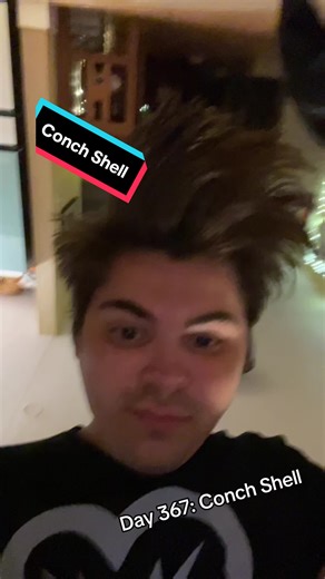 367: Conch Shell #instrument #iotd #conch #conchshell #shell #ocean #sound #sounds #music