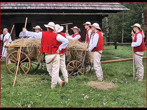W ciemnym lasku - Polska piosenka ludowa (Polish folk song)