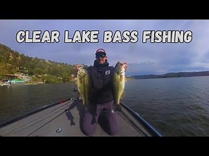 Non-Stop Bass Action at Clear Lake! (Fall Crankbait Bite is On!)