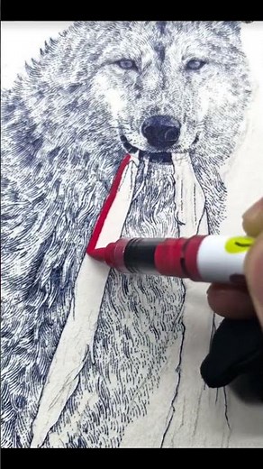 Incredible Hyper-Realistic Wolf Sketch – Step by Step Drawing #shorts #viral #art