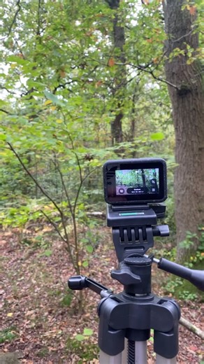 Testing out the GoPro in the woods. #fyp #gopro12 #testday #rec709
