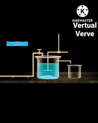 froth flotation process@sulphide ore