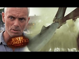 8-Year-Old Attacked By Bull Shark In Florida | HORROR STORY | River Monsters