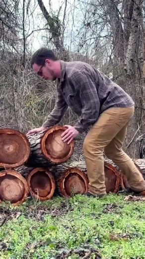 Stack ‘em up #stormcleanup #firewood #chainsaw