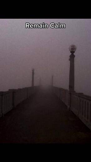 Holy Russian Empire: The Regent Endures | Alexei Lives