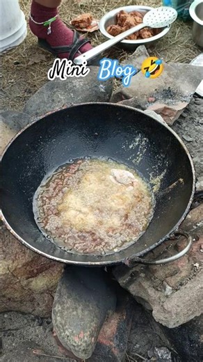 Mini Blog Part 1 🤣😂 #blog #chickenrecipe #picnic #shots #trendingshorts #trending #viraltrend