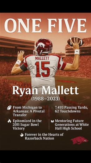 Ryan Mallett: A Razorback Legend's Comeback Story