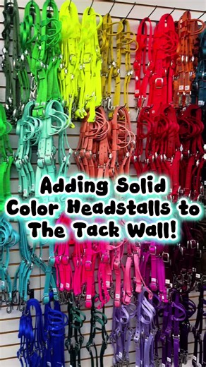 Adding new headstalls to the tack wall! We now have over 300 USA made solid color headstalls instock in 25 patterns! #horsetack #tack #equestrian #horsegirl #rodeo