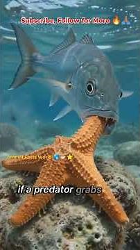 Starfish Can Regrow Arms 🤯 Ocean Superpower Explained
