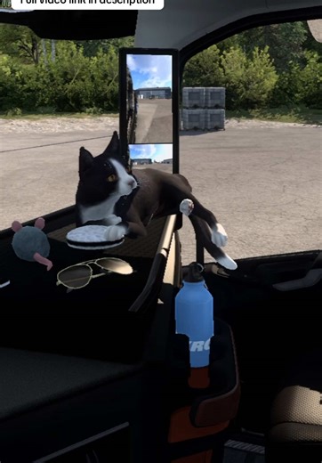 Driving through Norway in Euro Truck Simulator 2