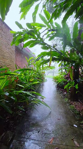 Did you know that the lush greenery at Anantya blooms even more beautifully during the monsoon? 🌧️ What's your favorite spot to enjoy nature's beauty here? 🍃 #Rainsatanantya | Anantya By The Lake