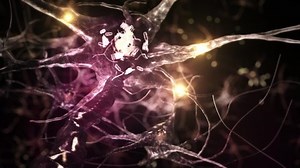 Animation Neuron Cells Glowing Links Synapse Stock Footage Video (100% Royalty-free) 1091722867 | Shutterstock