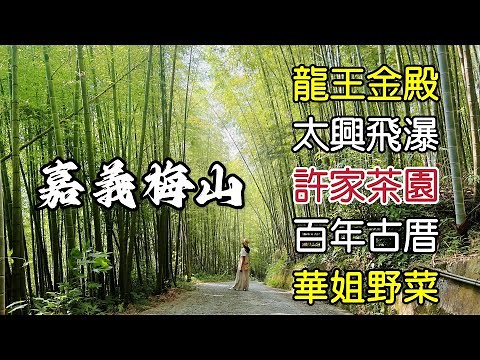 【2023嘉義梅山瑞里景點】龍王金殿｜太興飛瀑步道｜許家茶園｜青葉民宿｜百年古厝｜華姐野菜舖子