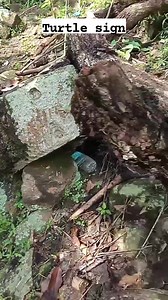 Turtle sign #everyonehighlights #huntingseason #fblifestyle | Ninja Hunter