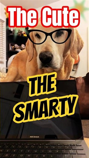😜INTELLIGENCE 170 THE CUTE – THE SMARTY😜 RAW AND RELEASED