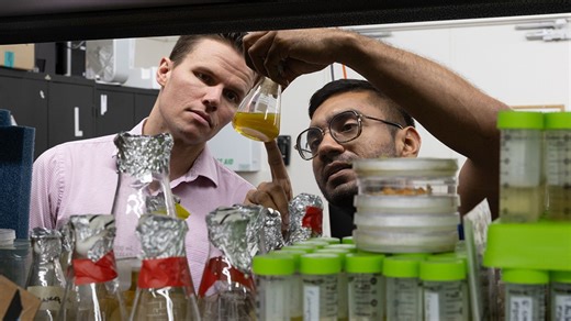 Soil fungus discovered to grow hydrogels for tissue regeneration